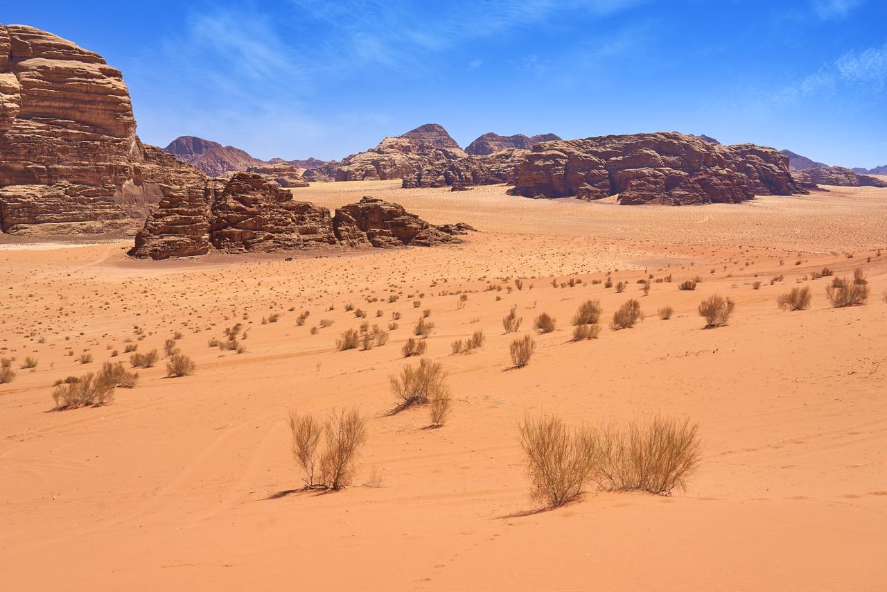 Wadi Rum Green Desert Exterior photo